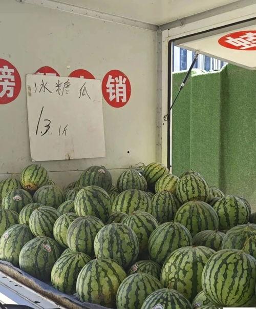 吃瓜不甜微博,瓜田里的甜蜜秘密