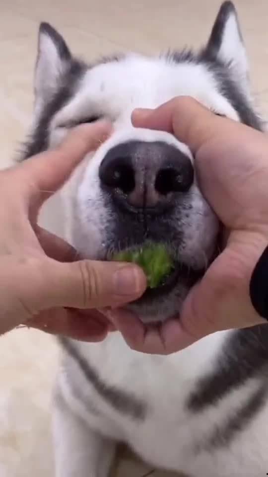 吃瓜的生气了,揭秘娱乐圈背后的真相