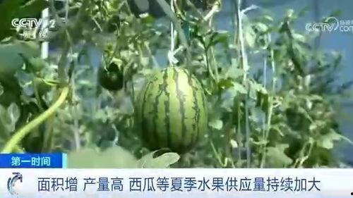 又是吃瓜季,娱乐圈风云再起，热点事件盘点
