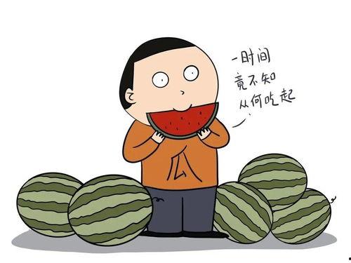 瓜瓜吃瓜语言活动教案,趣味盎然的儿童语言启蒙之旅