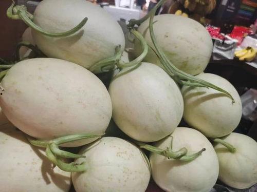 蘑菇吃瓜视频,揭秘蘑菇界的“美食家”