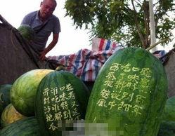 郑州七院吃瓜,揭秘背后的真相与争议