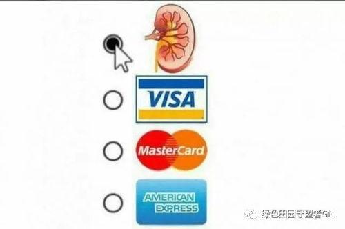 吃瓜群众立场,吃瓜群众视角下的明星生活