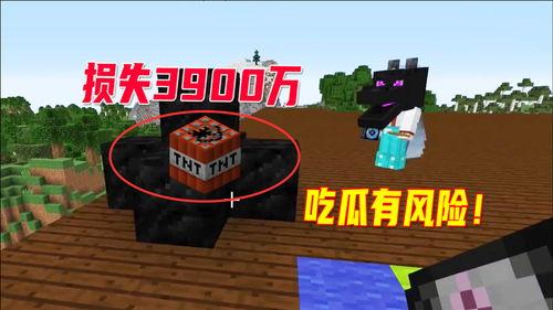 tnt小马吃瓜,揭秘网络红人的瓜田奇遇