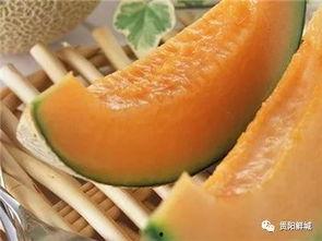 吐了后吃哈密瓜胃痛,吐后进食的警示与反思