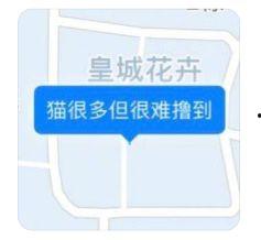 吃瓜大厂的门票,揭秘吃瓜大厂门票背后的狂欢盛宴