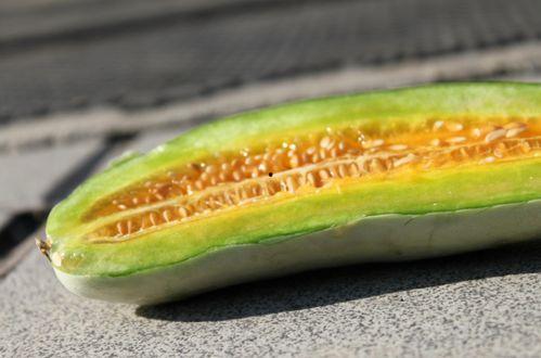 羊角蜜生瓜怎么吃,羊角蜜生瓜的多样食用方法探索