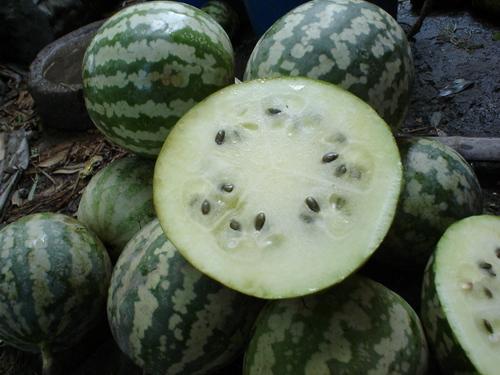 宁夏石缝瓜怎么吃,解锁美味新体验