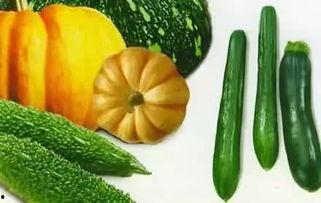 浪里吃瓜电台,揭秘娱乐圈幕后风云