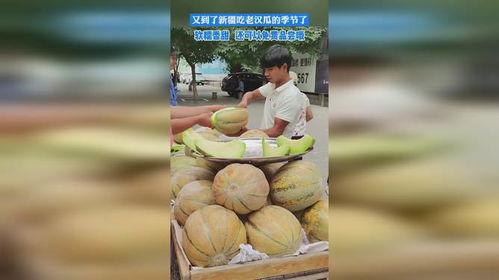 老汉吃瓜小说,揭秘乡村奇闻轶事