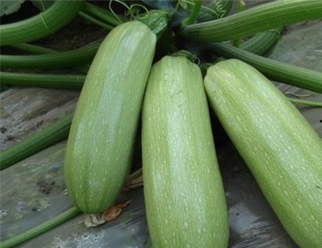 吃瓜多多后续,揭秘娱乐圈背后的真相与风波