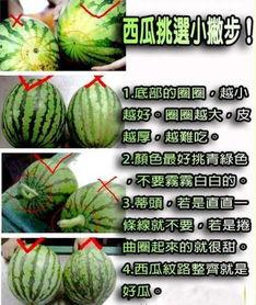 生耶吃瓜,揭秘娱乐圈的甜蜜与苦涩